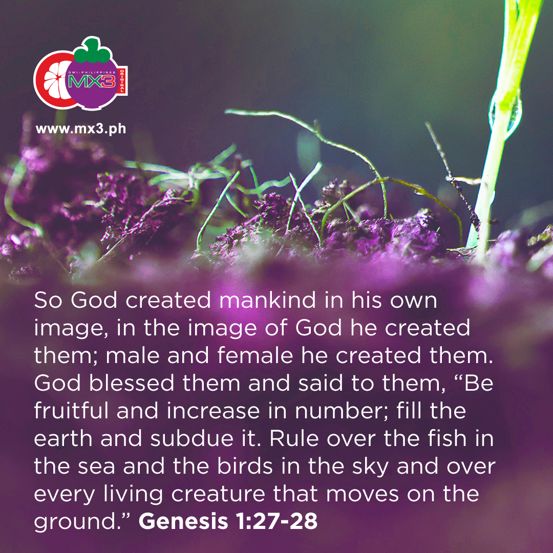 MX3Supplements's tweet photo. What does it mean to be created in God's image? We reflect the character of our Creator. You and every person in this world are precious in God's eyes.

#CreatedInHisOwnImage https://t.co/109DRq95to