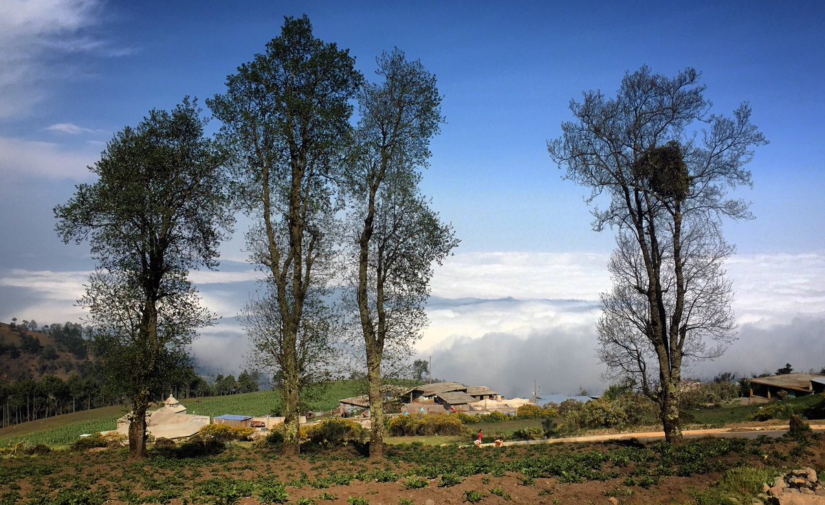 ContagiandoAC's tweet photo. Cada comunidad que visitamos de la Sierra del Pico de Orizaba tiene algo en particular ❤️
Pero en algo coincidimos, amamos la vista que tenemos en estas en donde estamos “arriba de las nubes” ☁️ y la neblina que nos espera a la bajada es algo único 🤗
#ContagiandoVoluntad https://t.co/OkPl5aW7dG