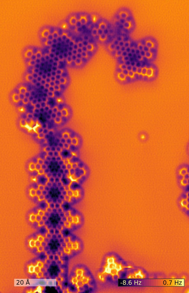 BrookhavenLab's tweet photo. Dubbed "The Seahorse," this ultra high-resolution atomic force microscopy image of graphene nano ribbons was captured at #CFNano. https://t.co/pOUrowUoTO