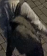 UPDATE: #FBI releases additional photos of the person(s) responsible for the placement of suspected pipe bombs in DC. Do you recognize the shoes or backpack? A $50K reward is available - call 1800-CALL-FBI with info or submit tips fbi.gov/USCapitol. fbi.gov/wanted/seeking…