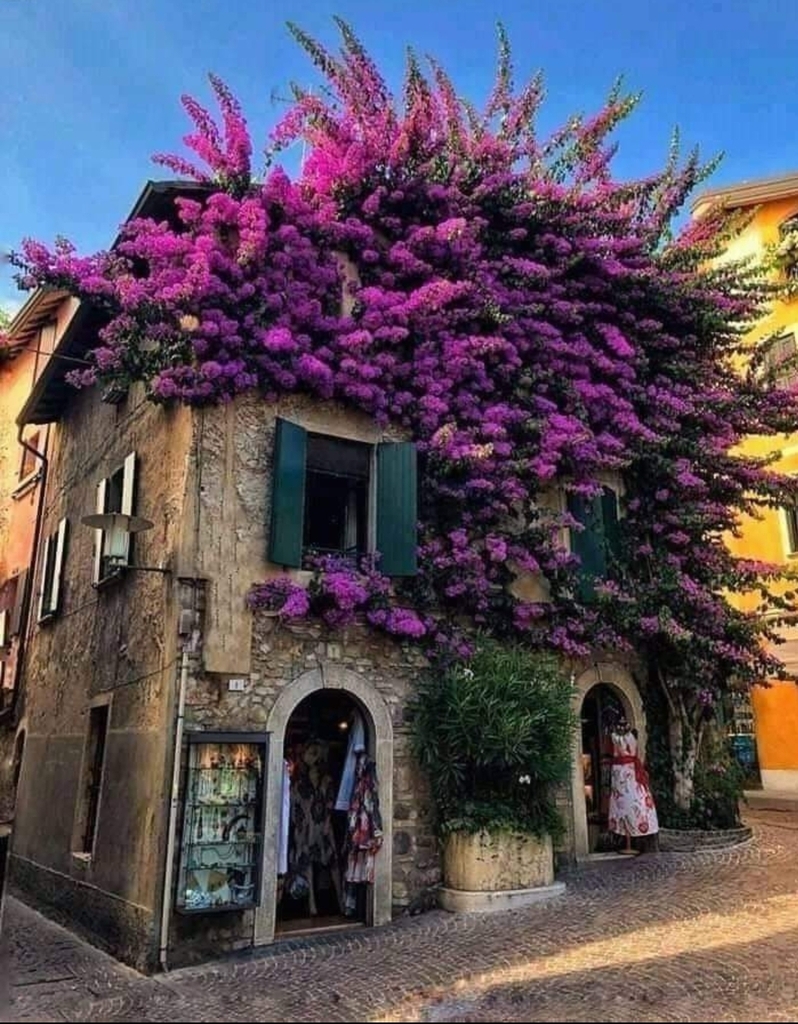 Viral Blasts tweet media