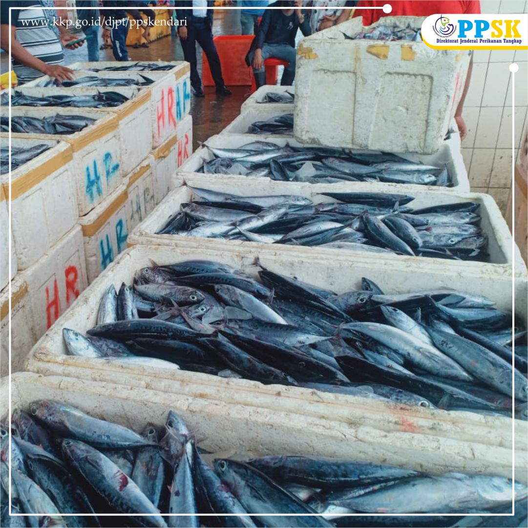 PPS Kendari secara rutin melaksanakan inspeksi pengendalian mutu pada ikan yang didaratkan di PPS Kendari. Selain itu PPS Kendari terus berupaya dan memastikan ikan yang didaratkan kapal perikanan bebas dari formalin. #KKPRebound 
<a href="/djpt_kkp/">Direktorat Jenderal Perikanan Tangkap</a> <a href="/InformasiPP/">Dit. Kepelabuhanan Perikanan DJPT</a>