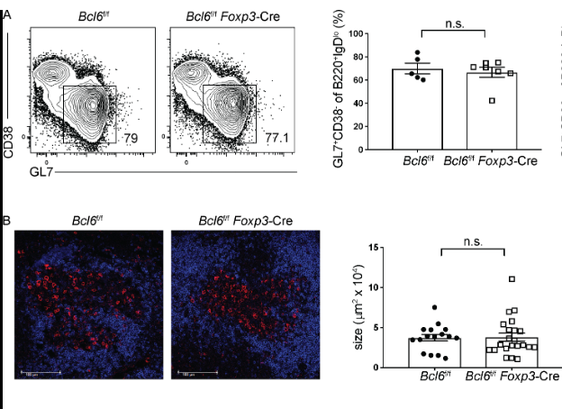 mmw_lmw's tweet photo. CD4+ #FollicularRegulatory T cells | optimize the influenza virus–specific B cell response | Joe Craft @YaleMed @JExpMed https://t.co/7tsMZo4kLI | #2020_ReCapDec https://t.co/Q6OluzKuDC