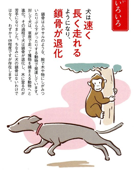 動物イラストのtwitterイラスト検索結果