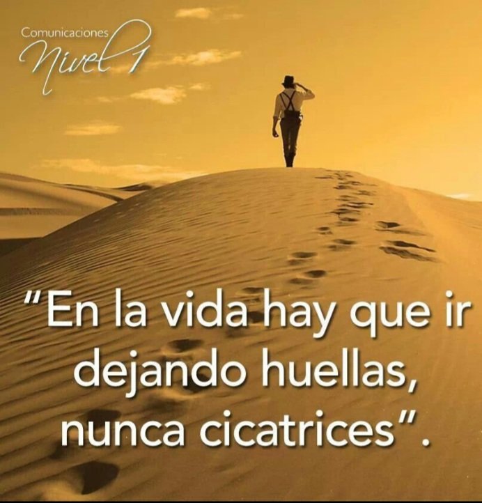 CesarOteroDuno's tweet photo. Excelente reflexión que quise compartir con ustedes. Feliz noche para todos. 😇🙏. @virginiatreyes https://t.co/MbCRQllPLk