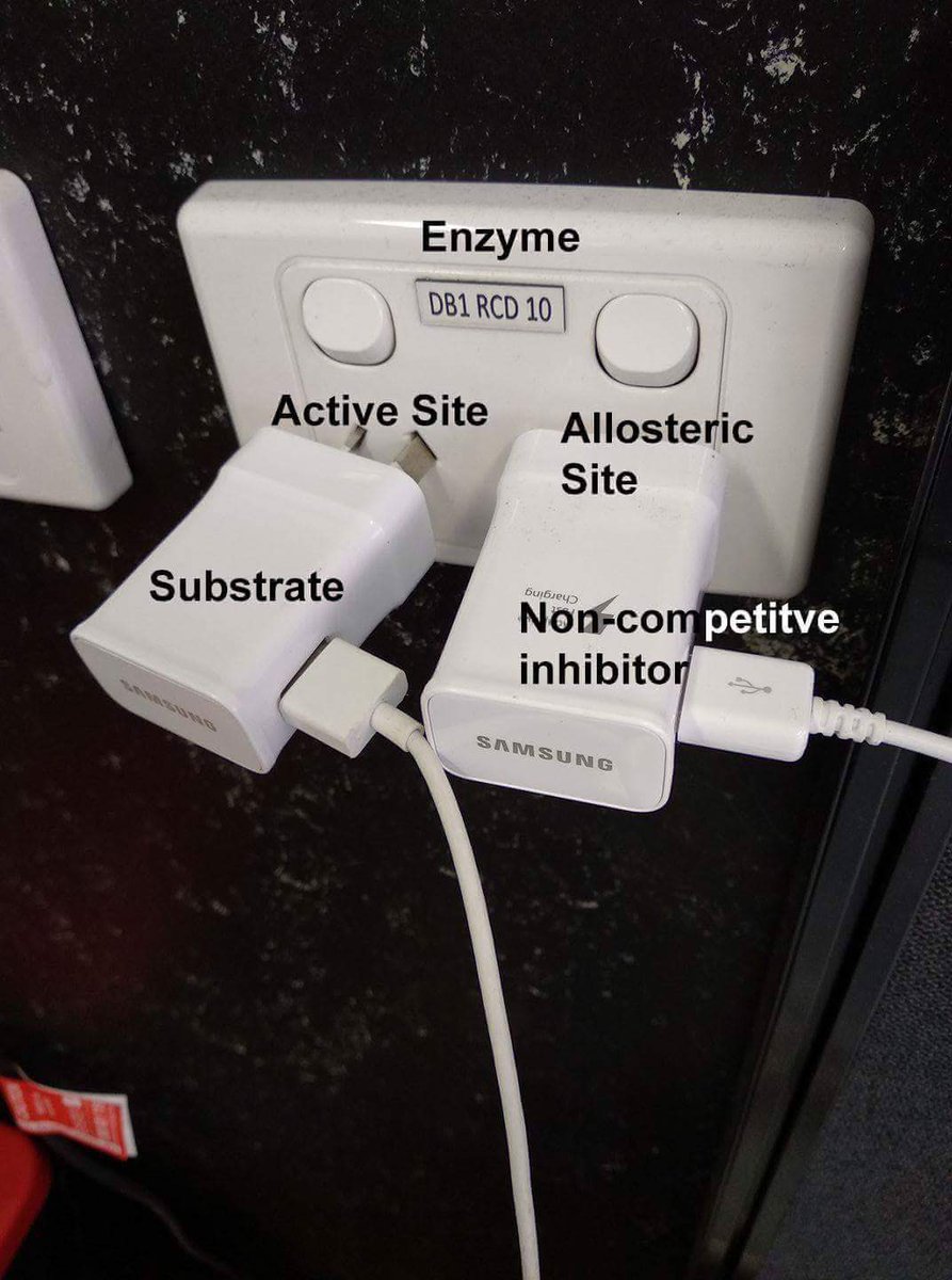 sci_add_cast's tweet photo. This cannot be more accurate #enzymes #activesite #noncompetitveinhibitor #science  #sciencememes #scienceaddictpodcast #podcastersoftwitter https://t.co/DEHdbhoib9