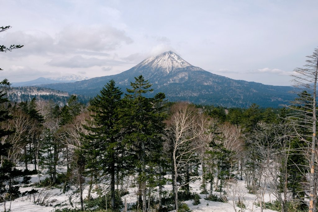 First, Mt. Komorebi. the world itself is GORGEOUS, and it’s inspired by two Japanese islands, Honshū and Hokkaido. The first thing i notice is that is big for EA standards if i’m being honest.