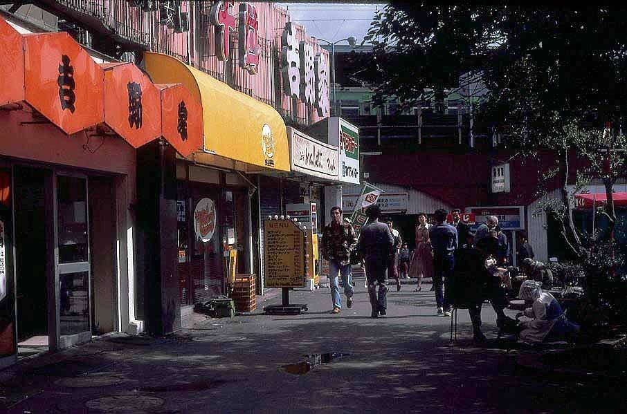 Sure there only about 12 lots but outside the lots each Neighborhood have a very distinct vibe and a huge open space. So now, when i think on Historical Japan the first things that comes to my mind are the Meiji Period and the Booming 80′s Japan Craze.