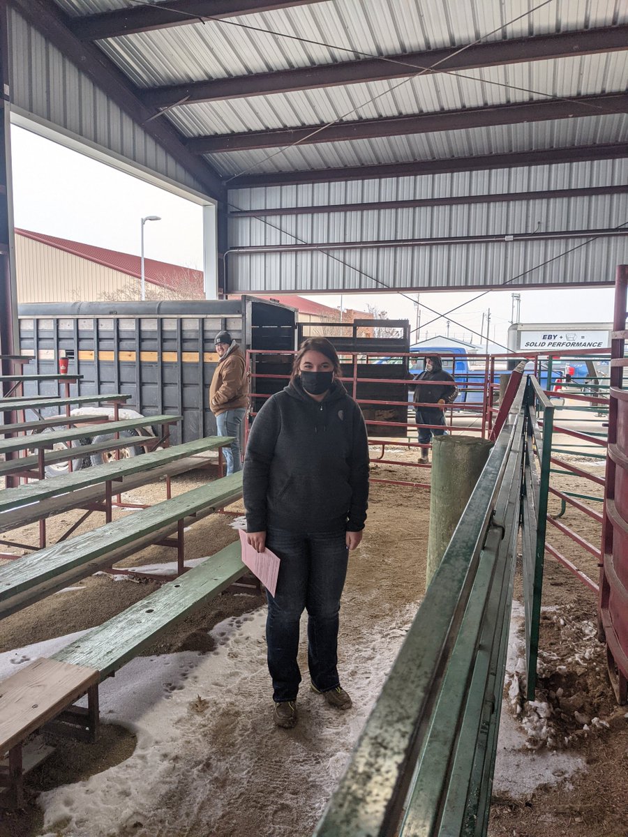 OsageFFA's tweet photo. Saturday FFA students weighed in beef for the county fair. We are excited about the fair this year! https://t.co/ATJ85Wvo5I