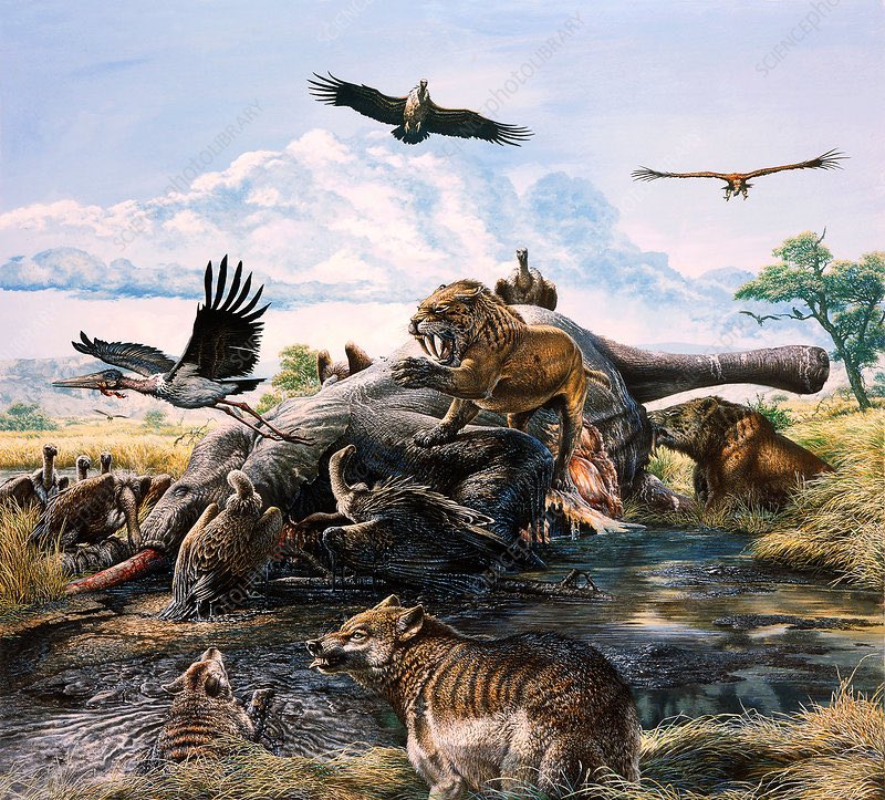The largest fatality in C19 was the public trust in science.They have every right to be pissed.For too long peer-review has remained ancient, ossified and secret.It is not fit for our current world of rapid communication and transparency. thrashing in tar pits