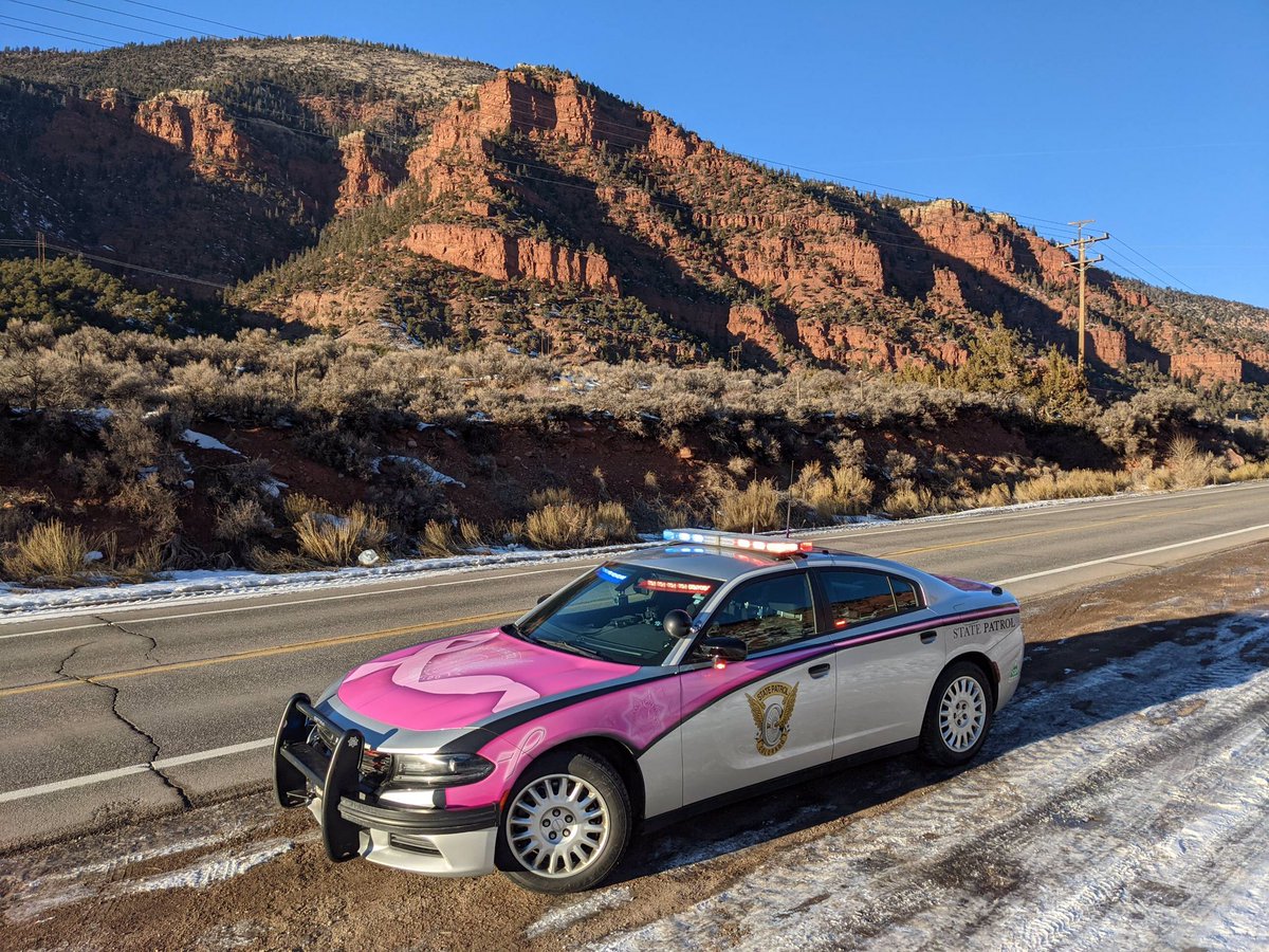 CSP Eagle tweet media
