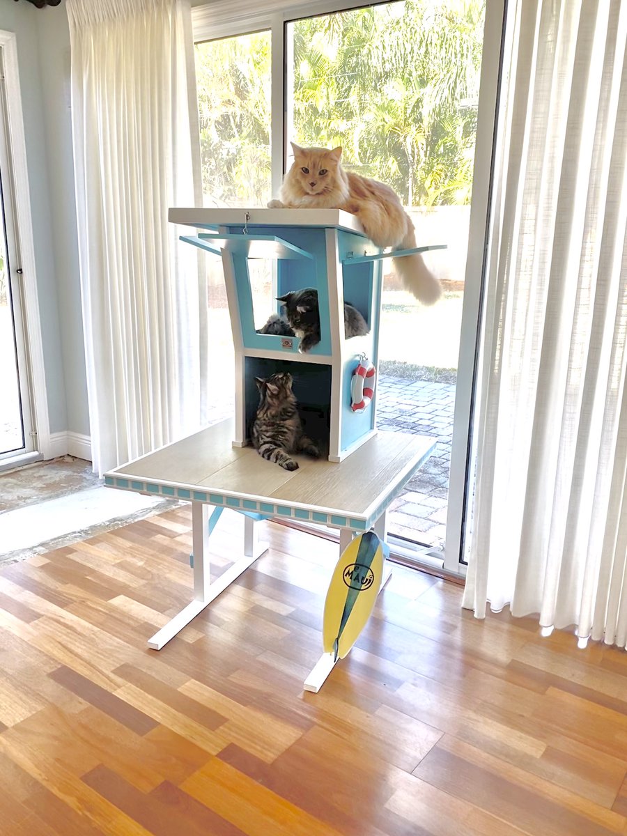 SqPaws's tweet photo. Stop doom-scrolling and have a look at these three beautiful kitties on the Lifeguard Stand Cat tower we made #CatsOfTwitter #squarepaws #artthatcatsdreamof https://t.co/65ReFtraPC