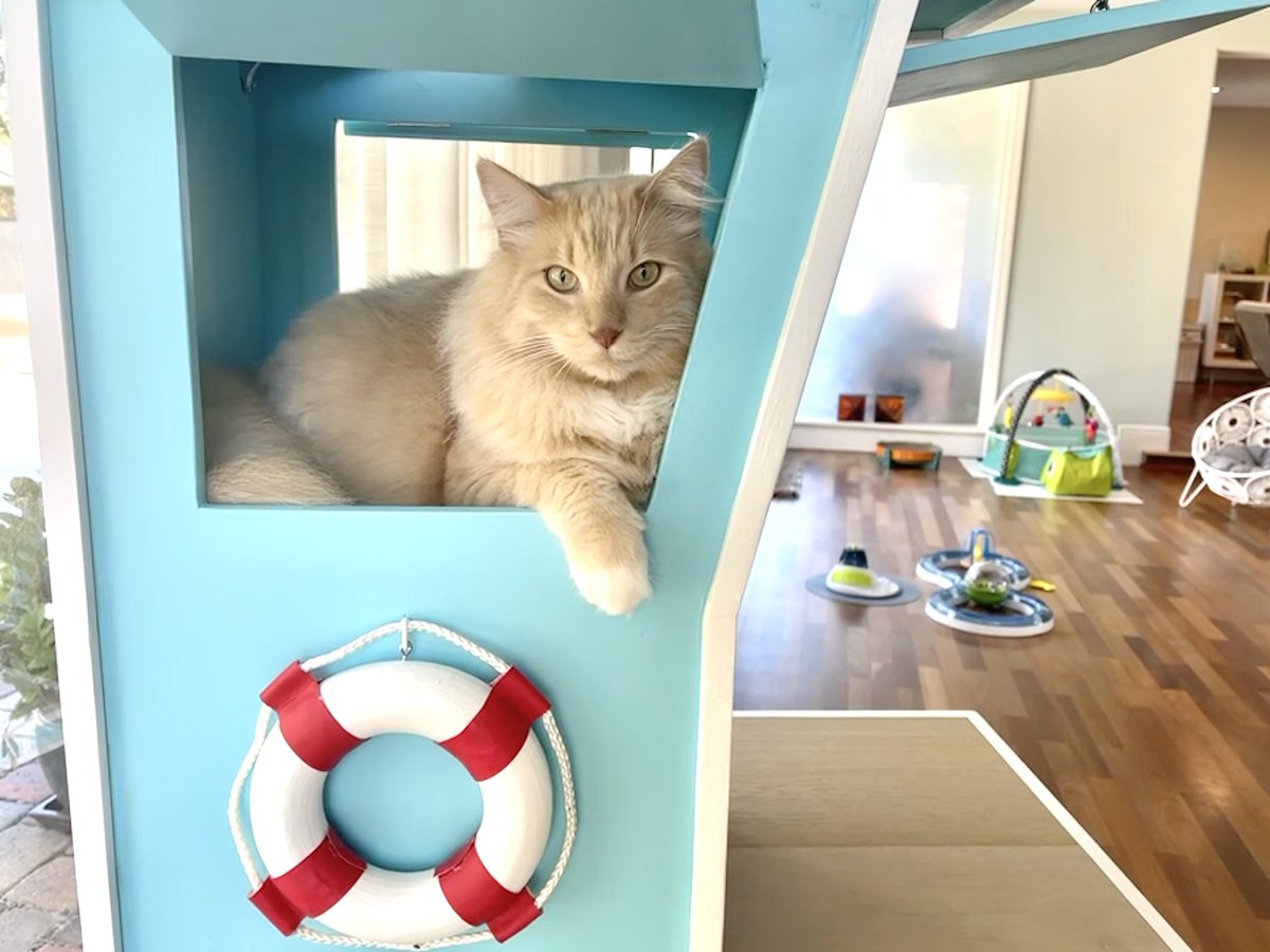 SqPaws's tweet photo. Stop doom-scrolling and have a look at these three beautiful kitties on the Lifeguard Stand Cat tower we made #CatsOfTwitter #squarepaws #artthatcatsdreamof https://t.co/65ReFtraPC