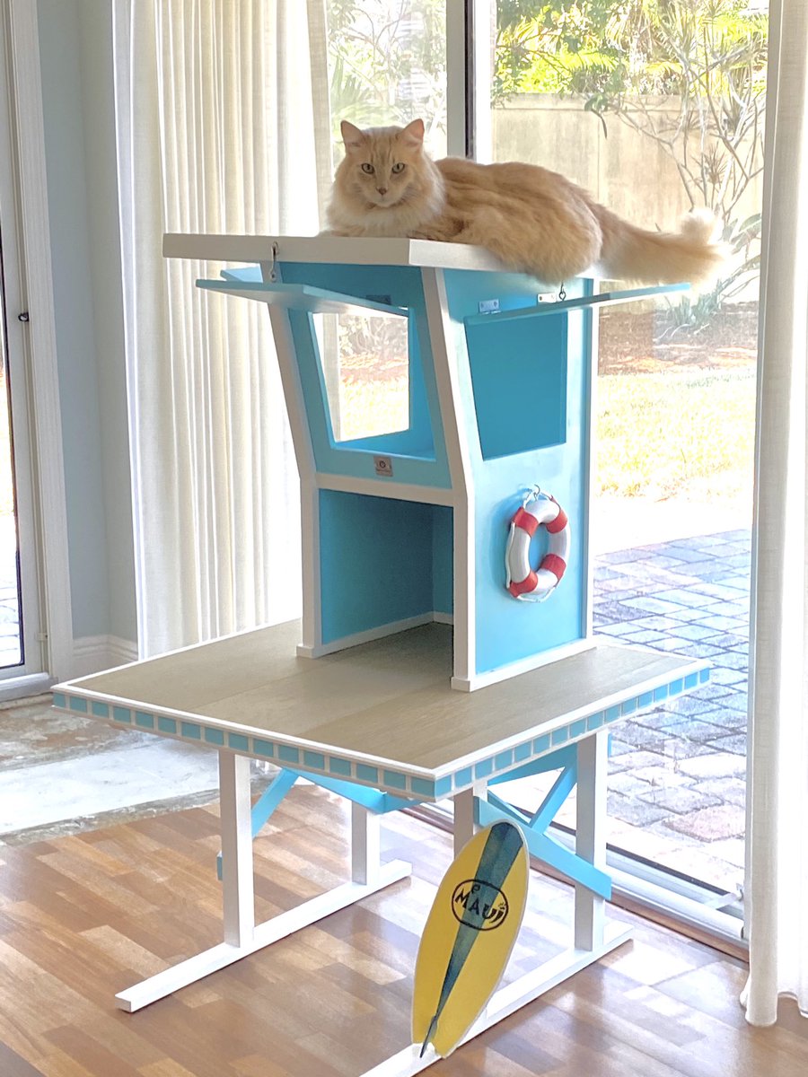 SqPaws's tweet photo. Stop doom-scrolling and have a look at these three beautiful kitties on the Lifeguard Stand Cat tower we made #CatsOfTwitter #squarepaws #artthatcatsdreamof https://t.co/65ReFtraPC
