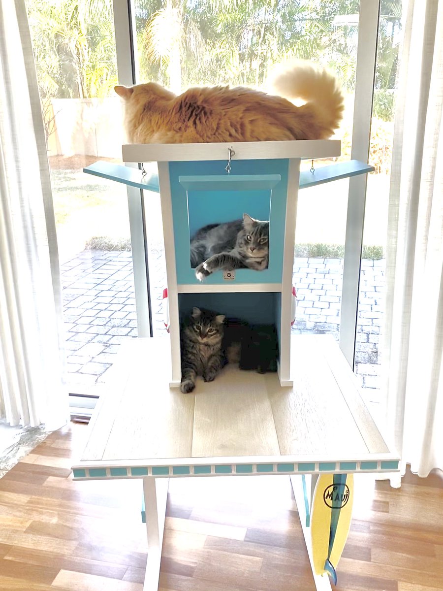 SqPaws's tweet photo. Stop doom-scrolling and have a look at these three beautiful kitties on the Lifeguard Stand Cat tower we made #CatsOfTwitter #squarepaws #artthatcatsdreamof https://t.co/65ReFtraPC