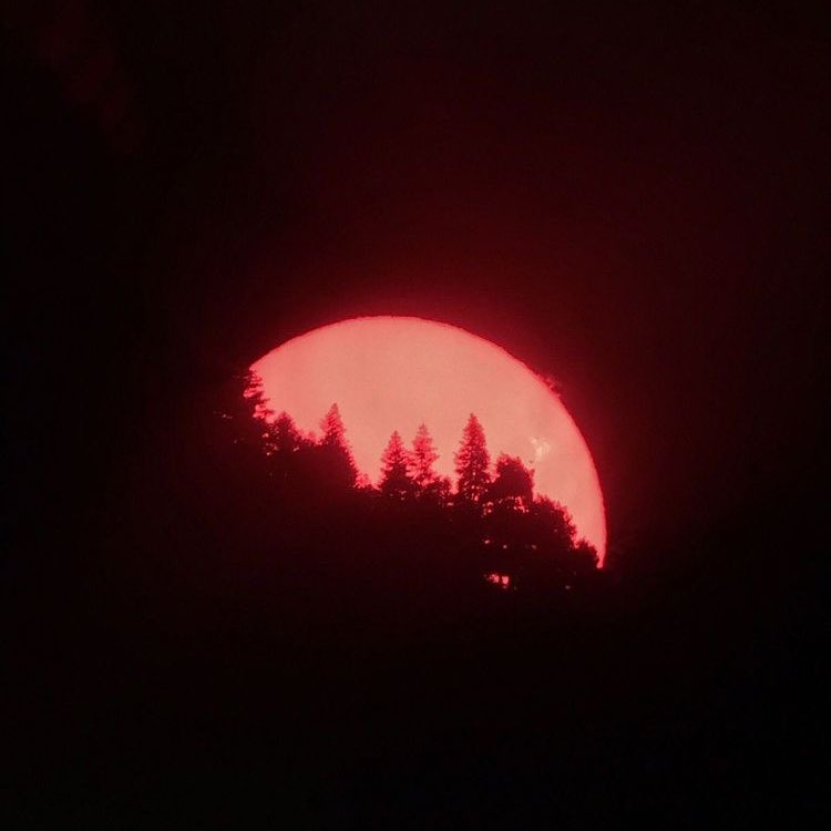 Doom Red Vol 1 Anime Manga Aesthetic Tomie T Co 8mgtlbrs9u Twitter