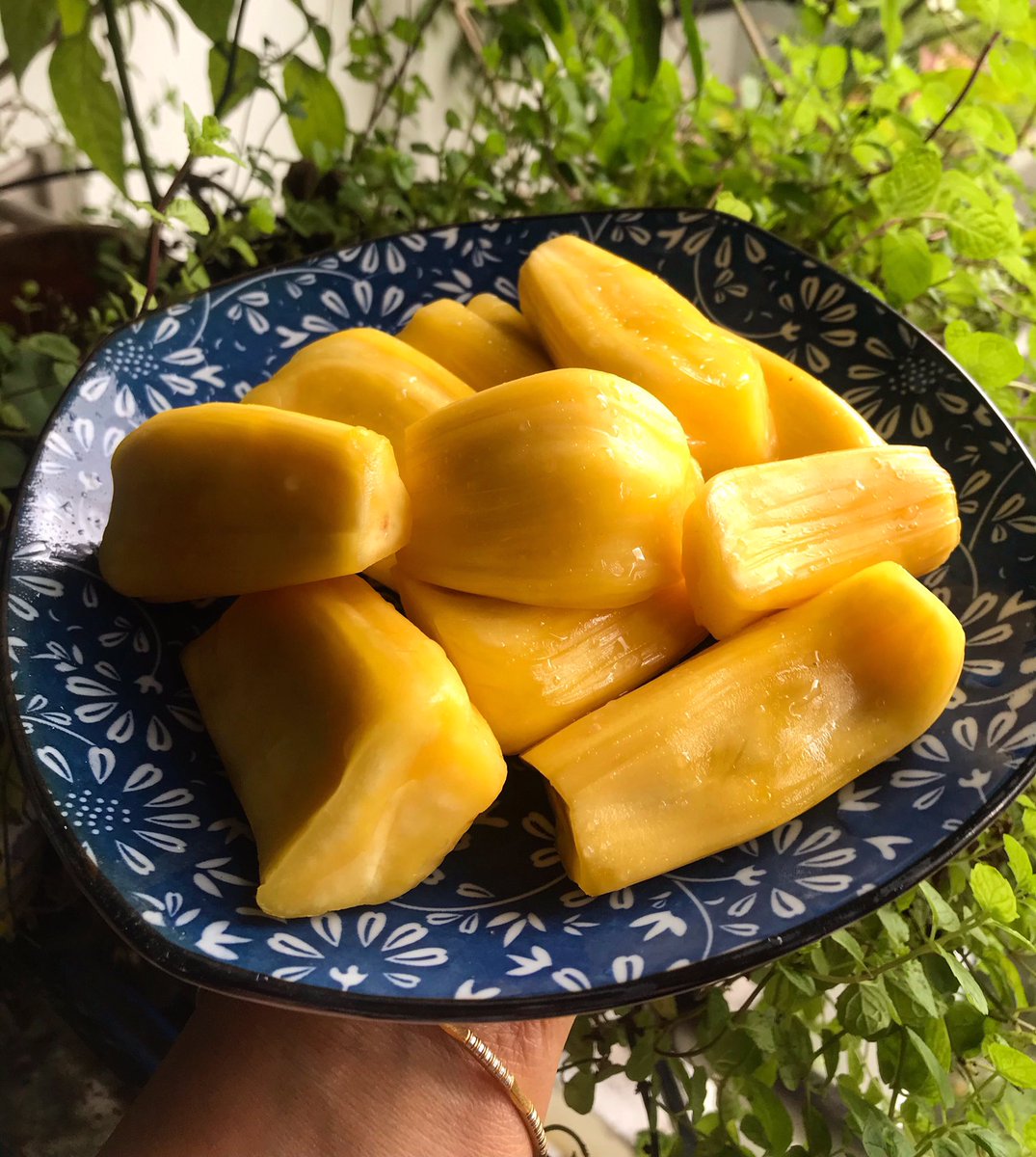 ranivijoo's tweet photo. Have a fruitful Day dear friends 😋😍☺️ #jackfruit #chakkappazham #myfooddiary #foodie #HealthyEating #healthyfruit #fruits #mallufoodie #keralafoodie #sgfoodie #sgfoodnlogger #raniskitchenmagic #tastehive https://t.co/m0CNljVhBn