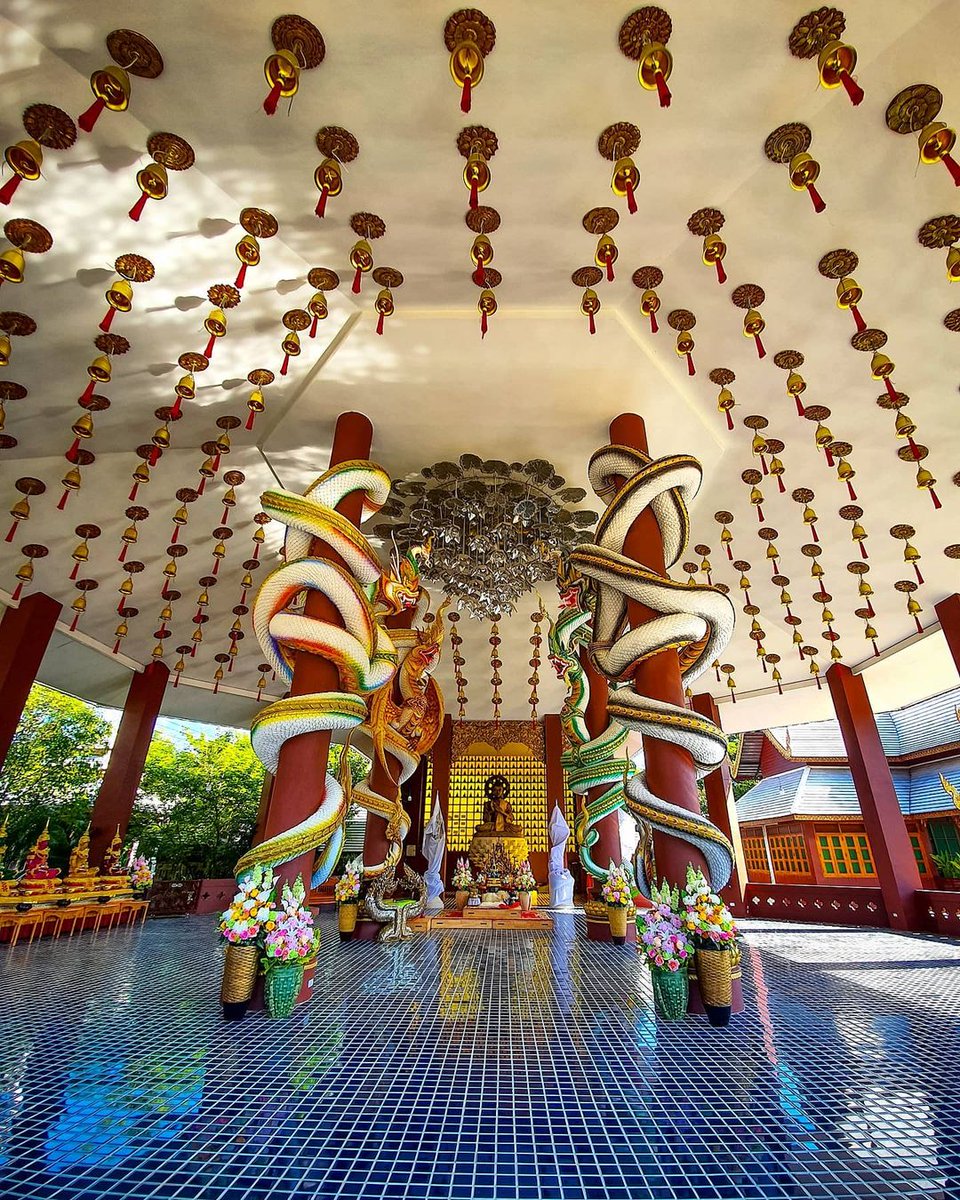 Fan Club Thailand : UK and Ireland tweet media