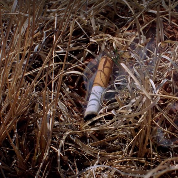 The cigarette brand smoked by Emilio Koyama in "Pilot" (S1E1) and thrown from the RV is "Morley", the same fictional brand smoked by the Cigarette Smoking Man.