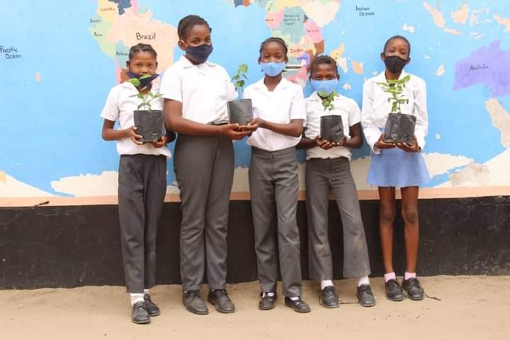 GlobalECCI's tweet photo. #Joiningteam #Botswanateam
Ten Per Week 2023
TREE planting initiative (Botswana)
Sustainable Environment
Collective Responsibility
Botswana Vision 2036
#CarbonCapture
#climateaction
Climate & LIFE led by Amb. Seloilwe K. Seloilwe https://t.co/9vAg3BmJJN