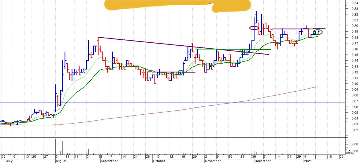 Assad Tannous tweet media