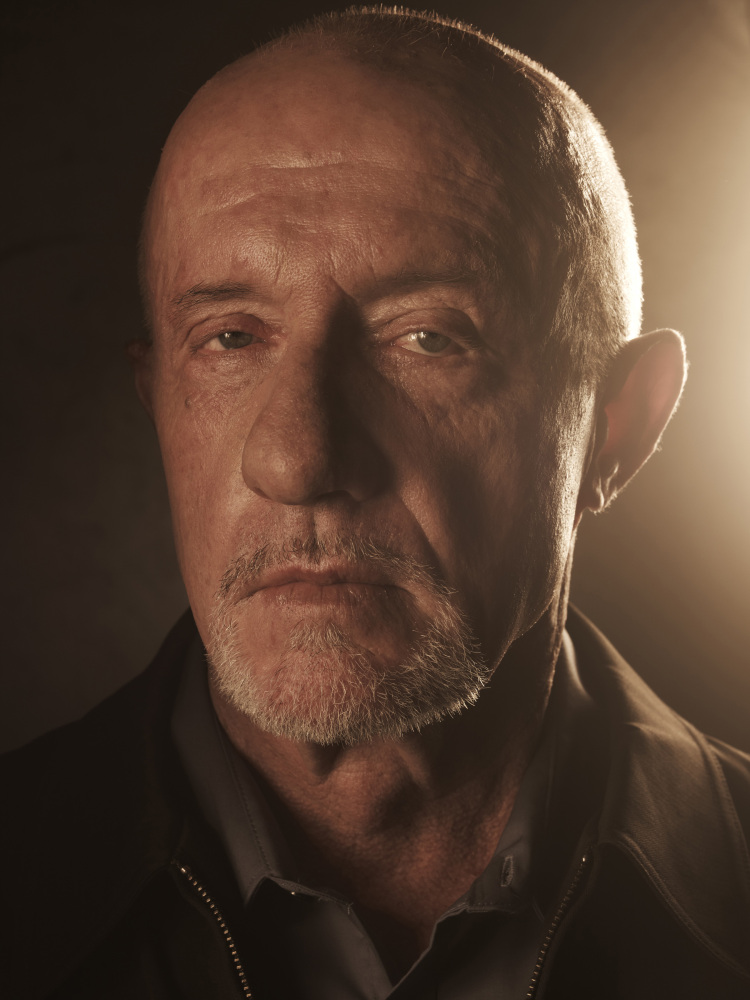 Mike Ehrmantraut's surname in Breaking Bad was used in a Gilligan-penned episode of the X-Files, Tithonus (S6E10), for a character.Mulder conducting a background check: "The time that you worked with Ms. Ehrmantraut did you find her to be a trustworthy person?"