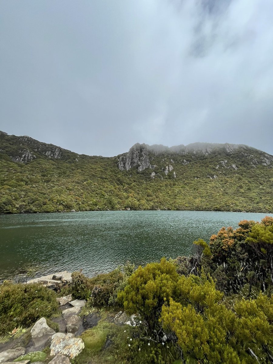 SeeTasmania's tweet photo. Wild times at Hartz Mountains National Park. Exceptional day tour to our wilderness world heritage area. #seetherealtasmania https://t.co/QwAE3Gj0fi
