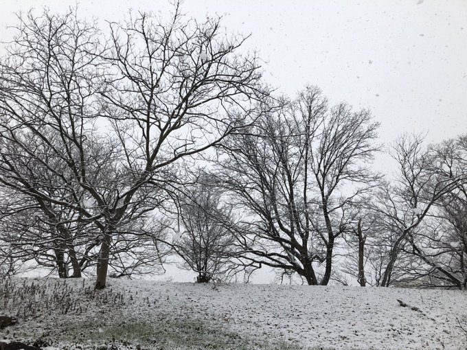 Twitterのコスプレ画像26