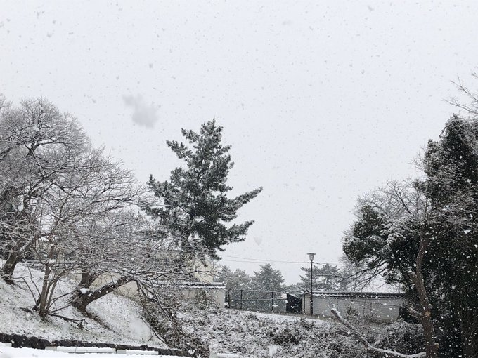 Twitterのコスプレ画像27