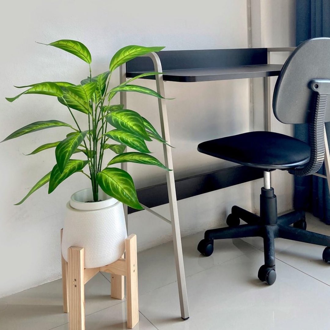 HelloJudma's tweet image. คำถามจากทางบ้าน : ขอฮาวทู WFH แบบจิตใจไม่ห่อเหี่ยวค่ะ

จัดมา : ลองสั่ง #ต้นไม้ปลอม มาตามกระแสแต่งบ้านแห่งปี พบว่าจริงๆ สีเขียวช่วยให้ฟีลกู๊ดอยู่น้า เราสั่งที่ร้าน @Pimarn เริ่มต้น 390.- มีให้เลือกหลายแบบมาก ต้นเหมือนจริงมาก รู้ตัวอีกทีก็เหมือนนั่งทำงานในป่าล้าว #กักตัว #รีวิวwfh