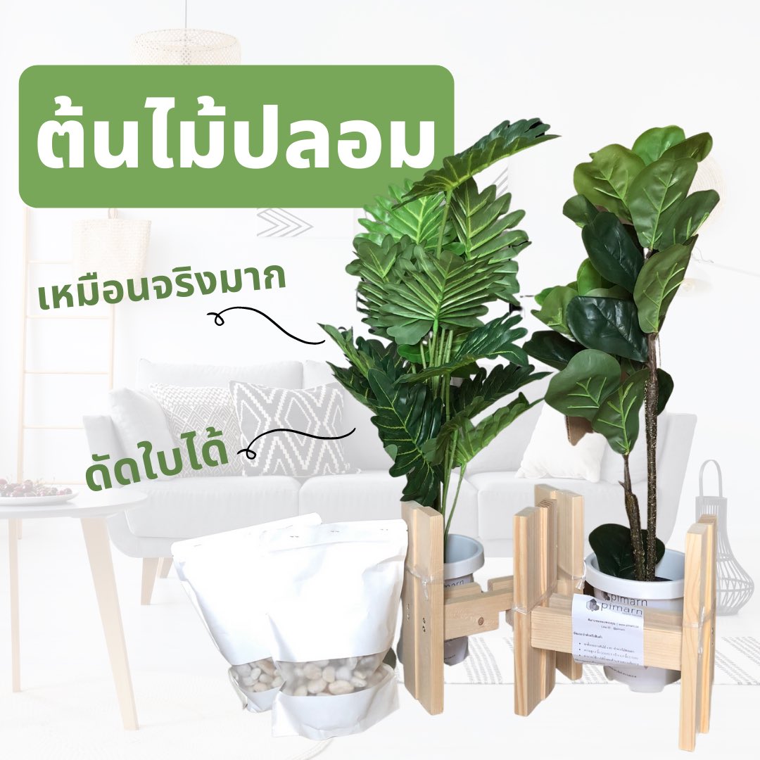 HelloJudma's tweet image. คำถามจากทางบ้าน : ขอฮาวทู WFH แบบจิตใจไม่ห่อเหี่ยวค่ะ

จัดมา : ลองสั่ง #ต้นไม้ปลอม มาตามกระแสแต่งบ้านแห่งปี พบว่าจริงๆ สีเขียวช่วยให้ฟีลกู๊ดอยู่น้า เราสั่งที่ร้าน @Pimarn เริ่มต้น 390.- มีให้เลือกหลายแบบมาก ต้นเหมือนจริงมาก รู้ตัวอีกทีก็เหมือนนั่งทำงานในป่าล้าว #กักตัว #รีวิวwfh