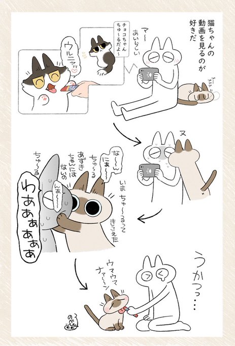 シャム猫あずきさんは世界の中心 を含むマンガ一覧 5ページ ツイコミ 仮