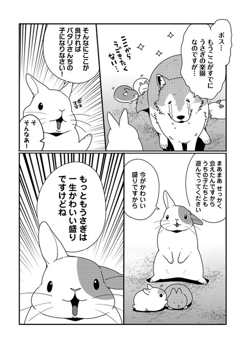 Hugピクシブ リラクトコミックスさん がハッシュタグ うさぎは正義 をつけたツイート一覧 1 Whotwi グラフィカルtwitter分析 Hugピクシブ リラクトコミックスさん がハッシュタグ うさぎは正義 をつけたツイート一覧 1 Whotwi グラフィカルtwitter分析