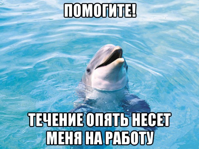 1psru's tweet photo. Все салаты съедены, шампанское выпито, фильмы просмотрены. Пора возвращаться к работе. Адская неделя уже началась! Представляем наш интенсив по продвижению бизнеса – займите себе место в топе, пока это не сделал кто-то другой😈
https://t.co/Qcd8lJX1U2 https://t.co/NXr2Tye1a0
