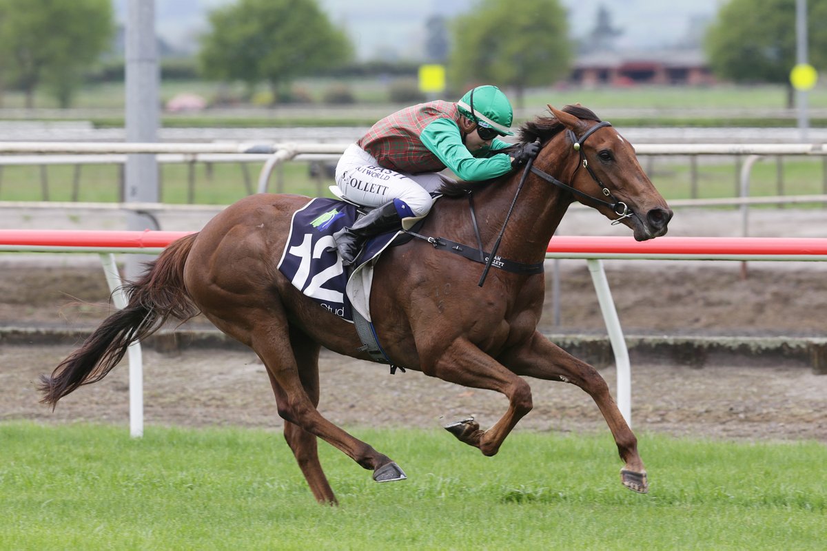 NZ Racing News (@nzracingnews) on Twitter photo Ben Foote was impressed with his team that stepped out <a href="/MatamataRacing/">Matamata Racing Club</a> trials on Tuesday, including Gr.2 Westbury Classic hopeful #TravellingLight
racingnews.co.nz/westbury-class… Ben Foote was impressed with his team that stepped out <a href="/MatamataRacing/">Matamata Racing Club</a> trials on Tuesday, including Gr.2 Westbury Classic hopeful #TravellingLight
racingnews.co.nz/westbury-class…