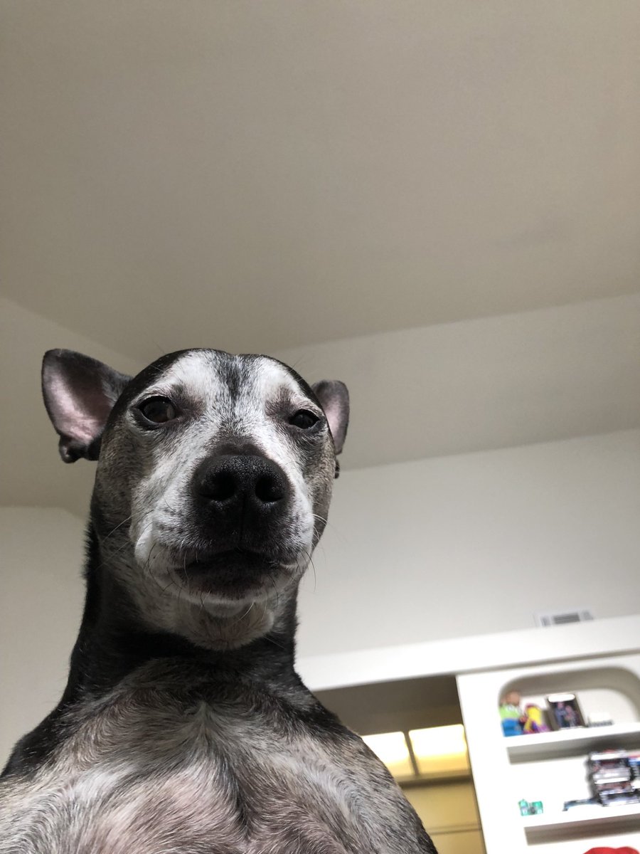 andrewatwood's tweet image. almos bedtime, RT for sweet dreams