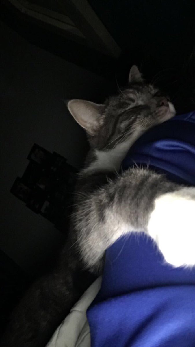 mcooperrrr's tweet photo. @TypicalGamer Beau agrees https://t.co/szSC918Y0g