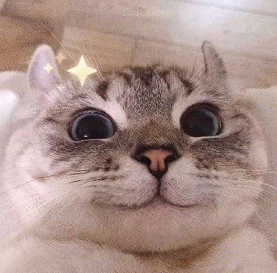 never thought I’d have covid on my birthday but I’m happy to be alive and surrounded by truly amazing people, thank you so much for all of the birthday wishes ❤️