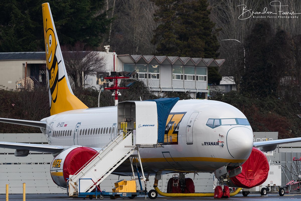 Here is some more photos with the big camera of <a href="/Ryanair/">Ryanair</a> subsidiary <a href="/BuzzAirOfficial/">Buzz</a> <a href="/BoeingAirplanes/">Boeing Airplanes</a> #737MAX 200. Sitting on the west side flight line <a href="/FlyRenton/">Renton Airport</a> airport. #AvGeek #Boeing 

Reg - SP-RZD 
L/N - 7890
Serial - 62319

High-res photos here: flickr.com/photos/seahawk…