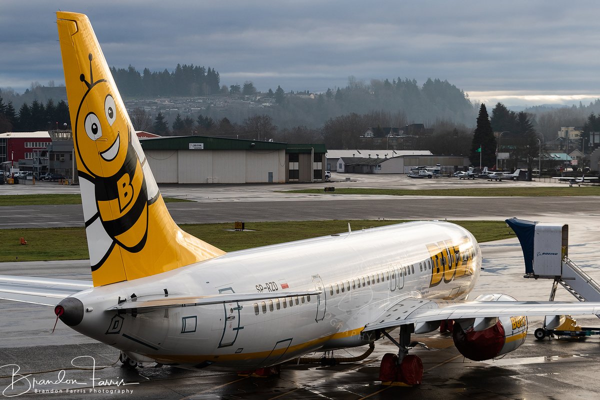 BDFphotography's tweet photo. Here is some more photos with the big camera of @Ryanair subsidiary @BuzzAirOfficial @BoeingAirplanes #737MAX 200. Sitting on the west side flight line @FlyRenton airport. #AvGeek #Boeing 

Reg - SP-RZD 
L/N - 7890
Serial - 62319

High-res photos here: https://t.co/jr58mTAPba https://t.co/h5UGvAgH96