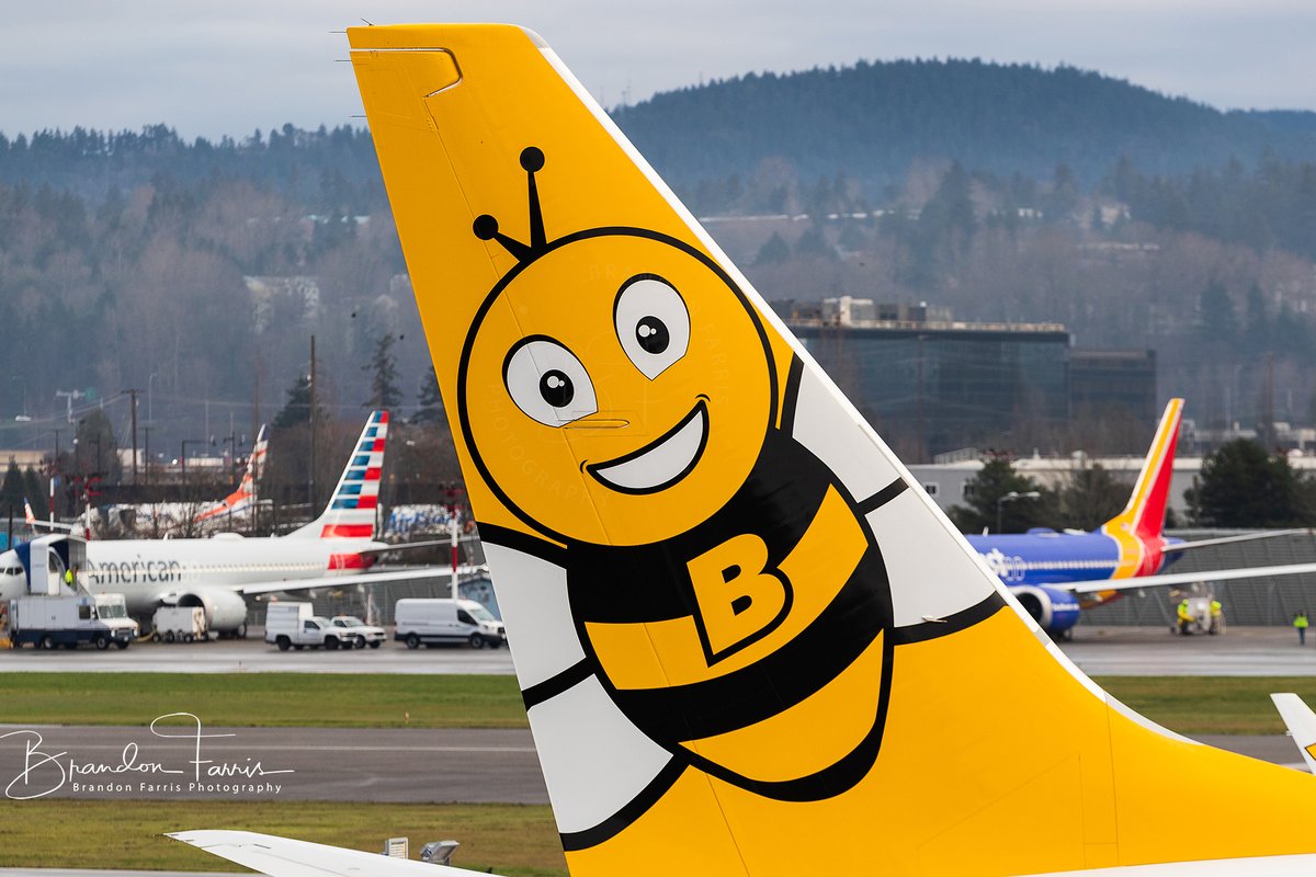 BDFphotography's tweet photo. Here is some more photos with the big camera of @Ryanair subsidiary @BuzzAirOfficial @BoeingAirplanes #737MAX 200. Sitting on the west side flight line @FlyRenton airport. #AvGeek #Boeing 

Reg - SP-RZD 
L/N - 7890
Serial - 62319

High-res photos here: https://t.co/jr58mTAPba https://t.co/h5UGvAgH96