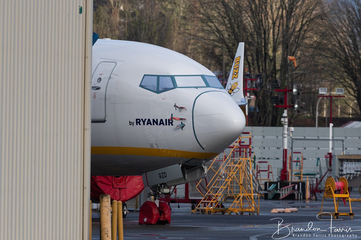 BDFphotography's tweet photo. Here is some more photos with the big camera of @Ryanair subsidiary @BuzzAirOfficial @BoeingAirplanes #737MAX 200. Sitting on the west side flight line @FlyRenton airport. #AvGeek #Boeing 

Reg - SP-RZD 
L/N - 7890
Serial - 62319

High-res photos here: https://t.co/jr58mTAPba https://t.co/h5UGvAgH96