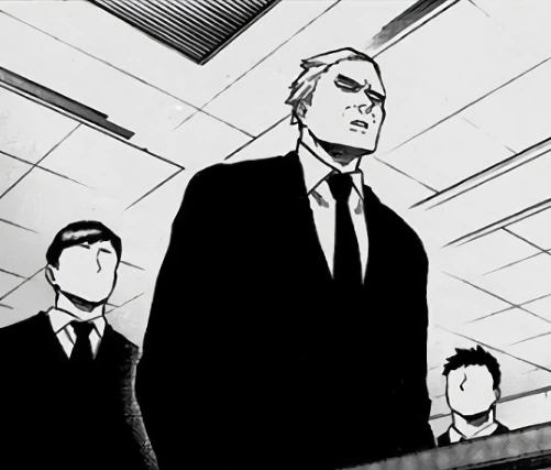 The hero institutions we're familiar with are born as a result of quirks as a world building tool. The HPSC, Hero schools, education systems, the current police force, the governing of heroes, hero licenses and power restrictions. These systems in themselves birthed other types!