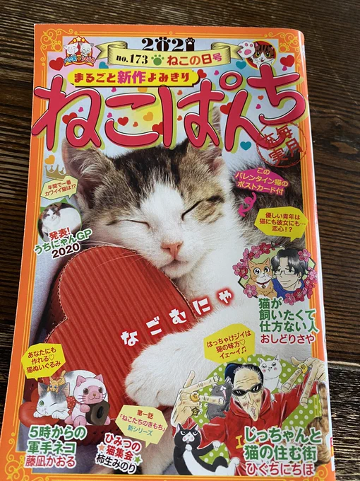 ねこぱんち発売中です。
じっちゃんと猫の住む街は二本立て。よろしくお願いいたします! 