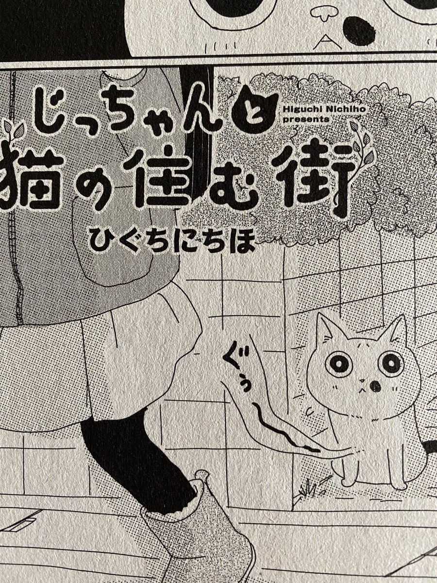 ねこぱんち発売中です。
じっちゃんと猫の住む街は二本立て。よろしくお願いいたします! 