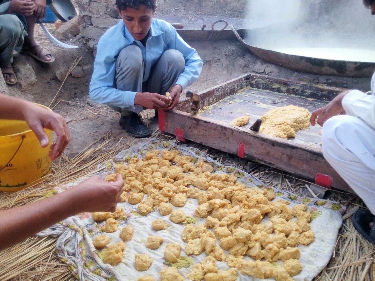 گنڈہ وچ پت نوں رمبی نال گُڈ کے تے گُڑ دیاں پیسیاں کڈھ لینیاں یا فیر تھوڑا سخت کرکے شکربنا لینیਗੰਢ ਵਿੱਚ ਪਤ ਨੁੰ ਰੰਬੀ ਨਾਲ ਗੁੱਡ ਕੇ ਤੇ ਗੁੱੜ ਦਿਆਂ ਪੇਸੀਆਂ ਕੱਢ ਲੇਣਿਆਂ ਯਾ ਫਰ ਥੋੜਾ ਸਖ਼ਤ ਕਰ ਕੇ ਸ਼ੱਕਰ ਬਣਾ ਲੇਣੀ