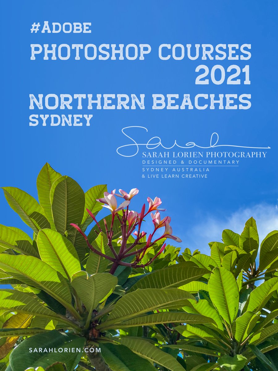 livelearncr8tve's tweet photo. @livelearncr8tve
 OK 2021, time for some fun and useful learning. Photoshop tuition and courses in Sydney at Northern Beaches &amp; Mosman College + Private &amp; Workplace Training. 
@nbccollege  
@s_lorien_photo
 #photoshopcourse #Onlinetuition #inpersontraining https://t.co/jQB2AVhv8w