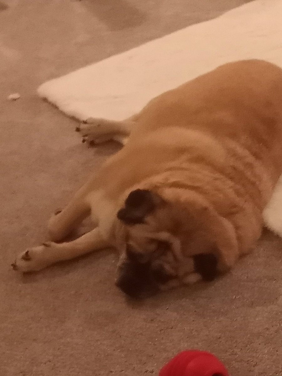 DrakeFowler16's tweet image. 