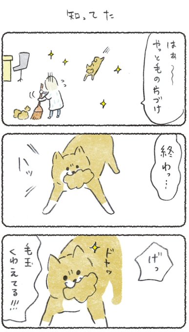 キリ マンガ豆しばこつぶ月曜更新イラストレーター Kiriillust さんの漫画 219作目 ツイコミ 仮 キリ マンガ豆しばこつぶ月曜更新イラストレーター Kiriillust さんの漫画 219作目 ツイコミ 仮