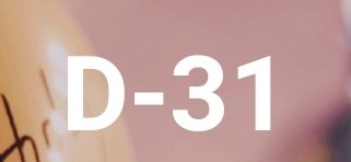 falta um mês pro meu aniversário, o que vocês vão me dar de presente?😼